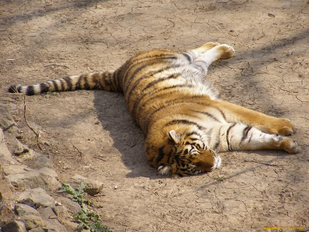 , 
